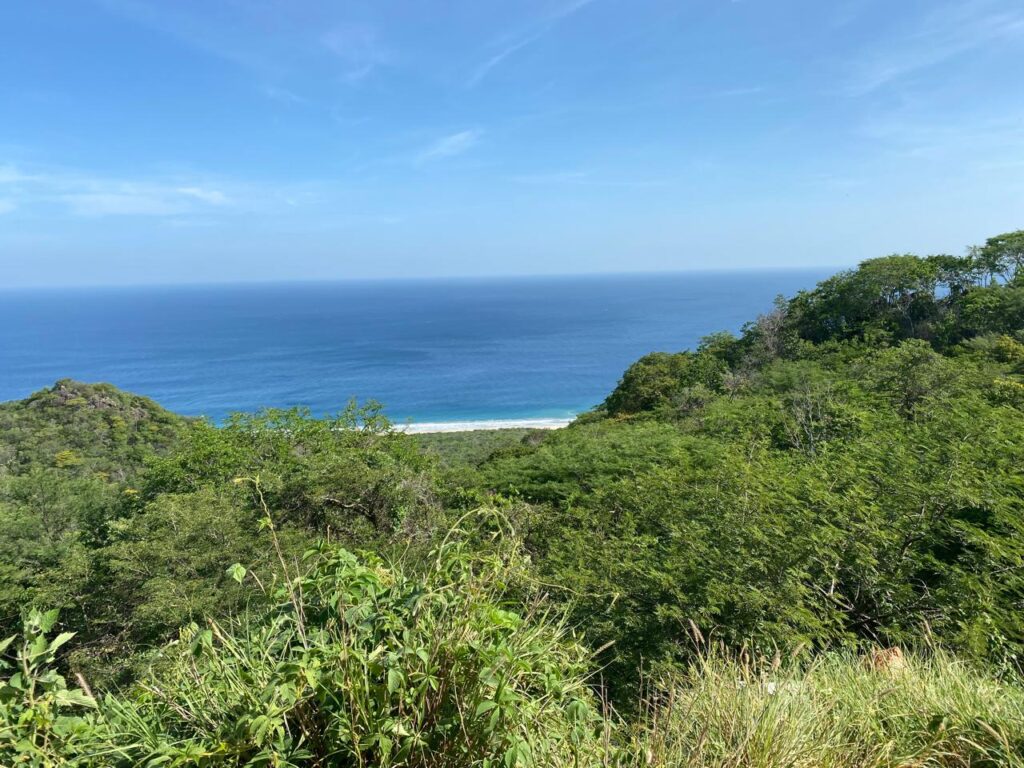 Vista panorámica de la costa y el océano desde una colina verde en Santo Domingo Ingenio, Oaxaca, bajo un cielo azul despejado.