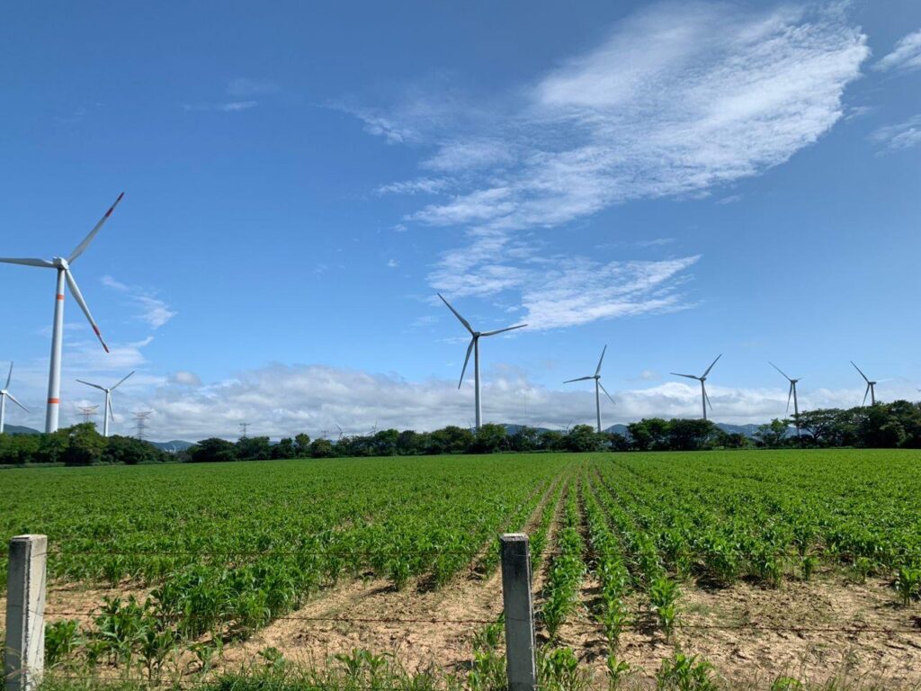 Parque eólico en Santo Domingo Ingenio, Oaxaca, con aerogeneradores sobre un campo verde bajo un cielo azul despejado.